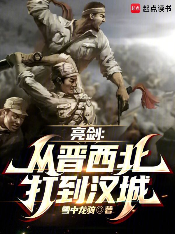 亮剑:从晋西北开始