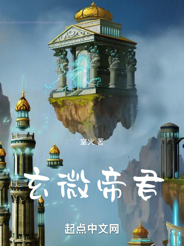 玄微帝君 封面