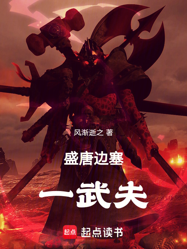 盛唐边塞一武夫 封面