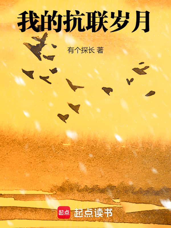 我的抗联岁月小说封面