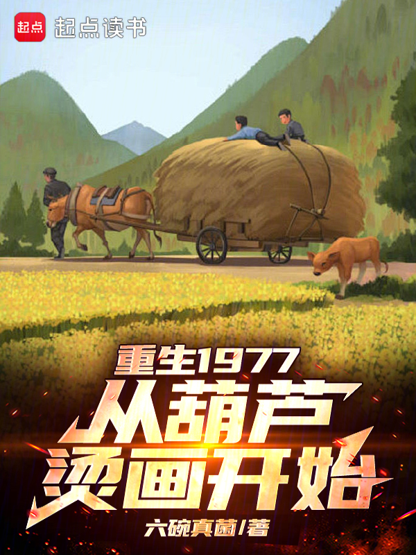 重生1977从葫芦烫画开始 封面