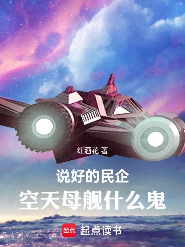 说好的民企，空天母舰什么鬼小说封面