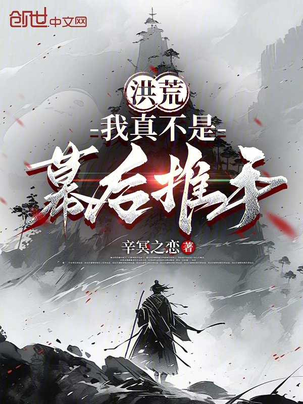 洪荒:我真不是幕后推手