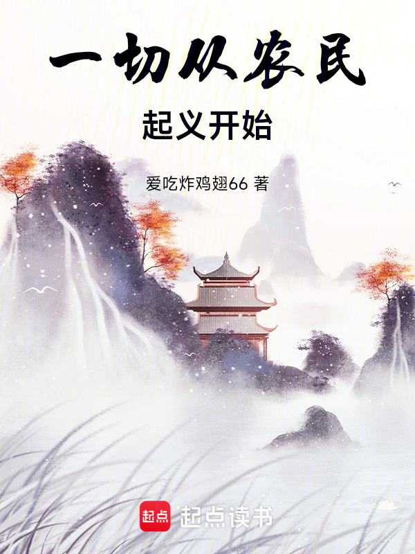 从历代起义开始