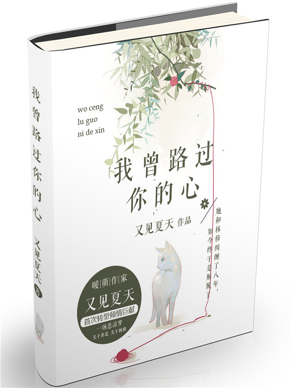 我曾路过你的心