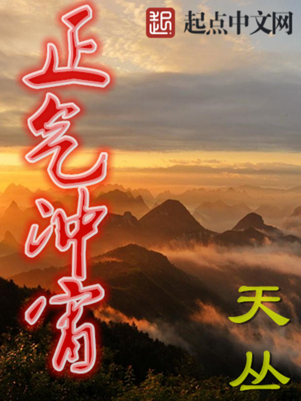正气冲宵 封面