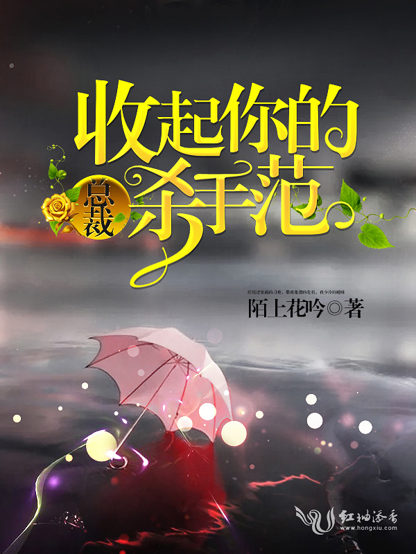总裁:收起你的杀手范