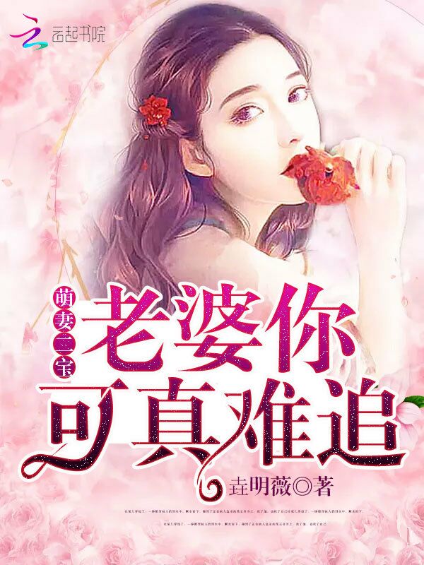 老婆你可真难追