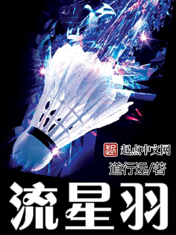 流星羽 封面