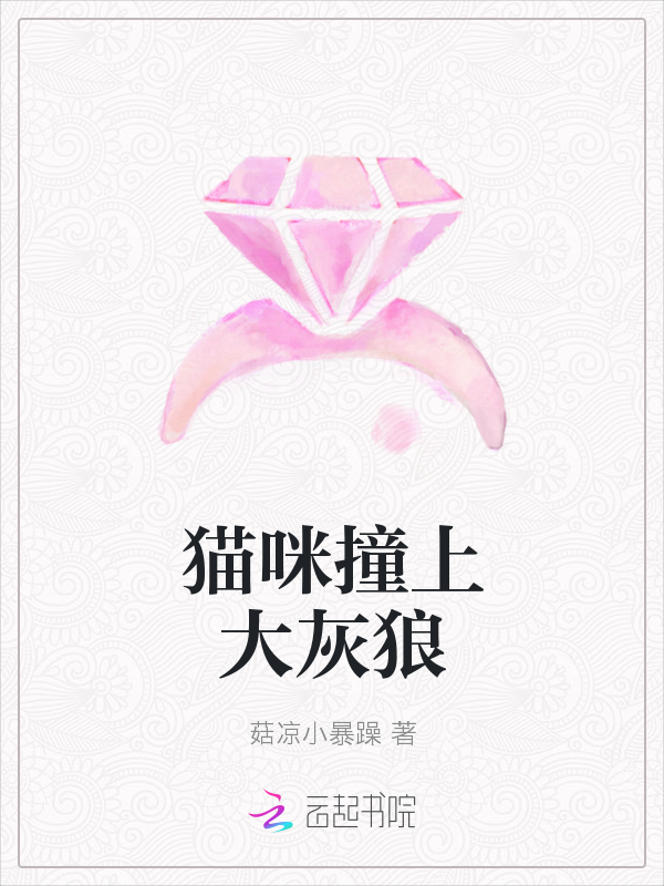 猫咪撞上大灰狼