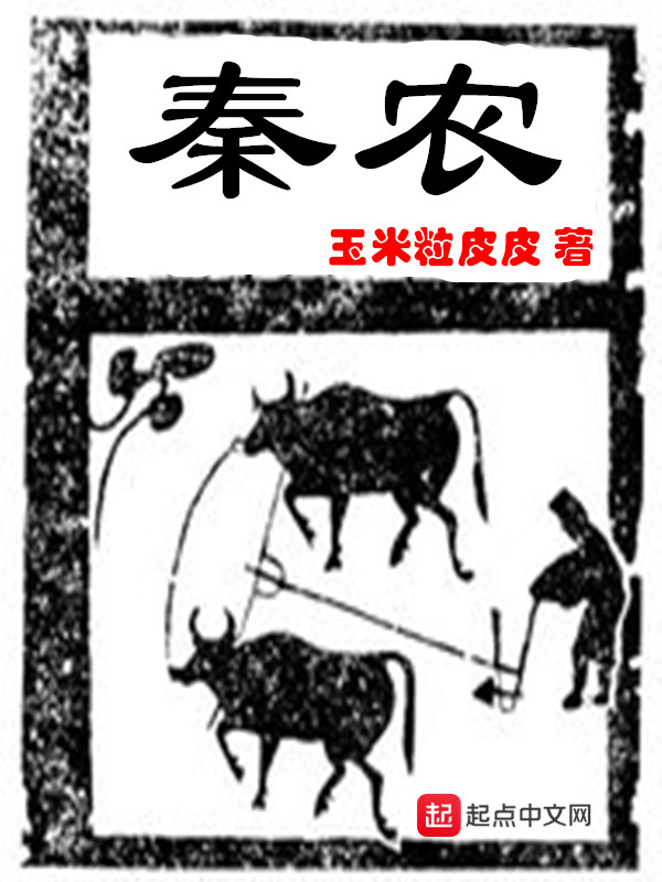 秦农 封面