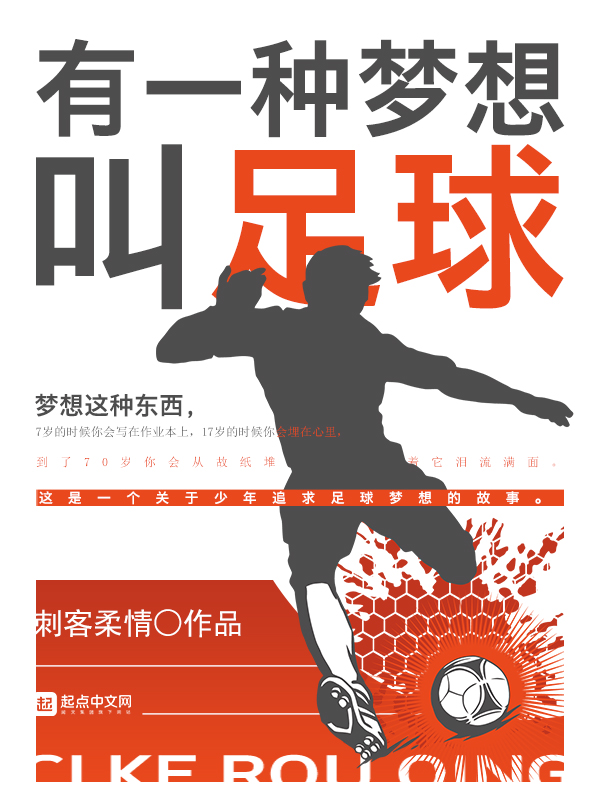 有一种梦想叫足球 封面