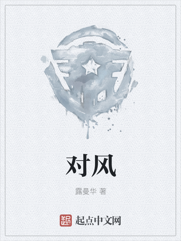 对风 封面