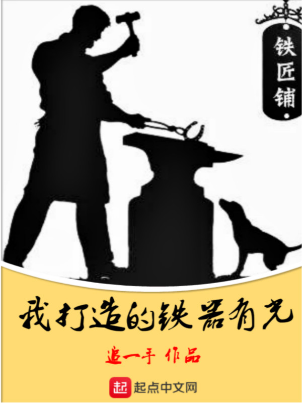 我打造的铁器有光 封面
