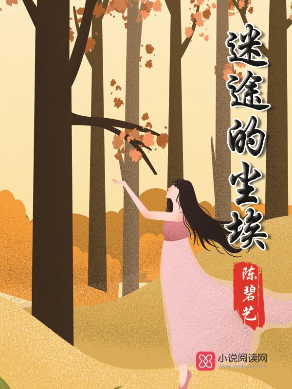迷途的尘埃