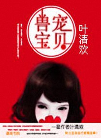 甜宠宝贝妻