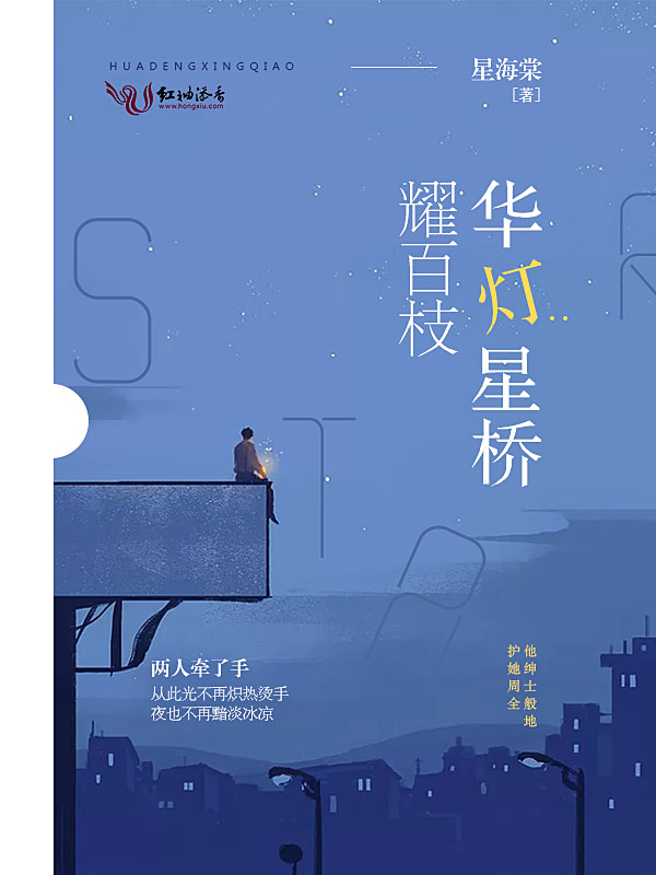 华灯星桥耀百枝 封面