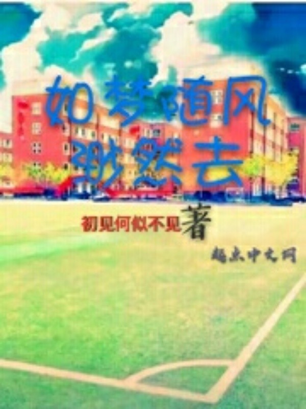 如梦随风渺然去 封面