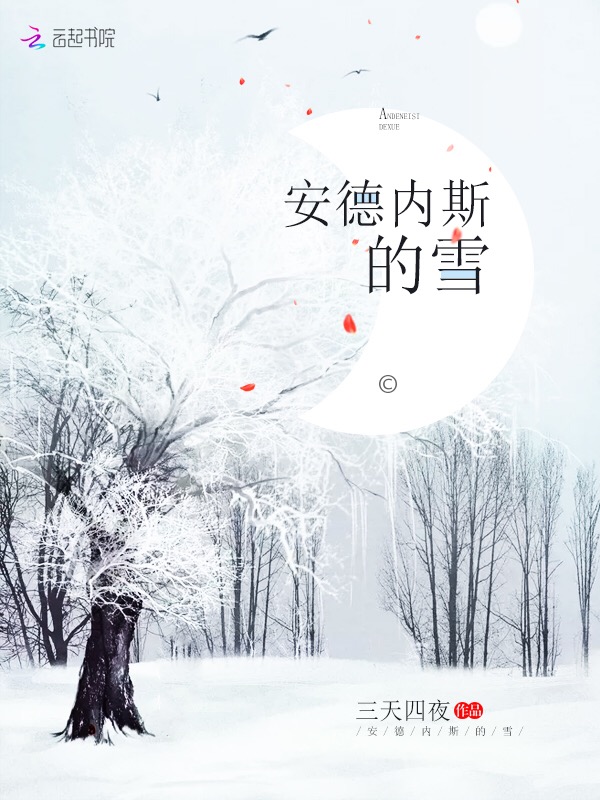 安德内斯的雪