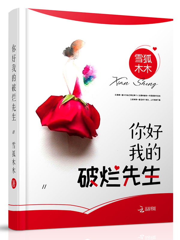 你好,我的破烂先生