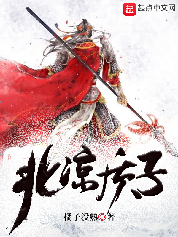 北凉质子 封面