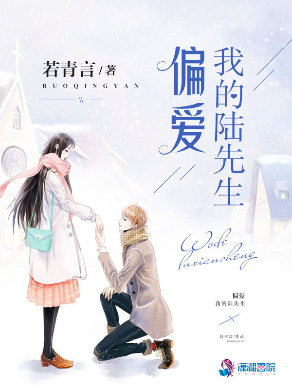 偏爱我的陆先生 封面