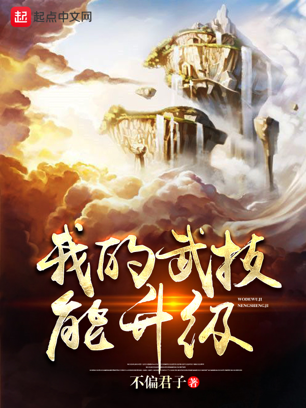 我的武技能升级