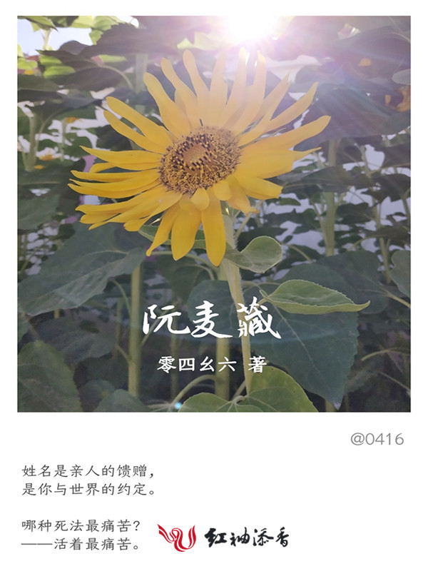 阮麦藏