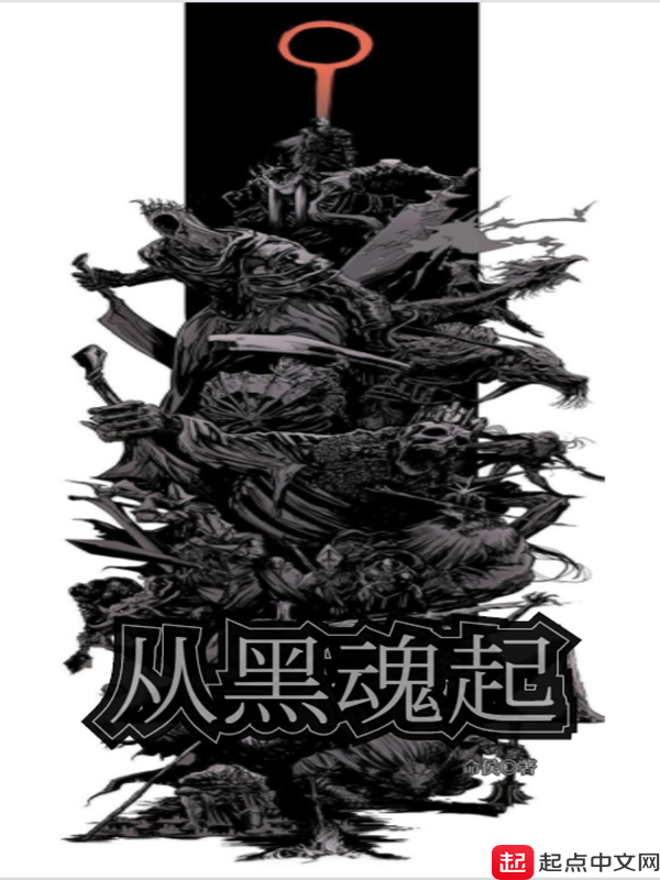 从黑魂起 封面