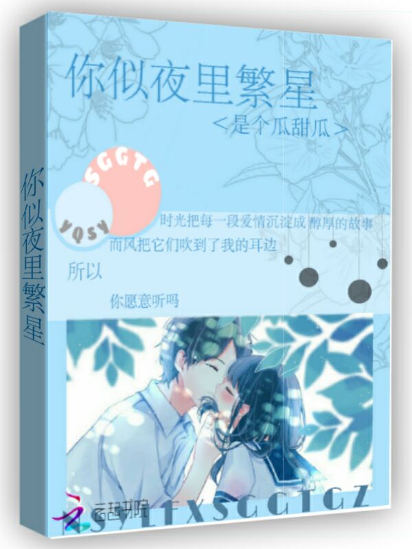 你似夜里繁星