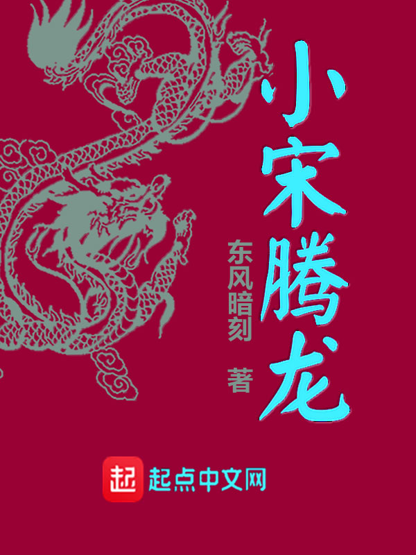 小宋腾龙 封面