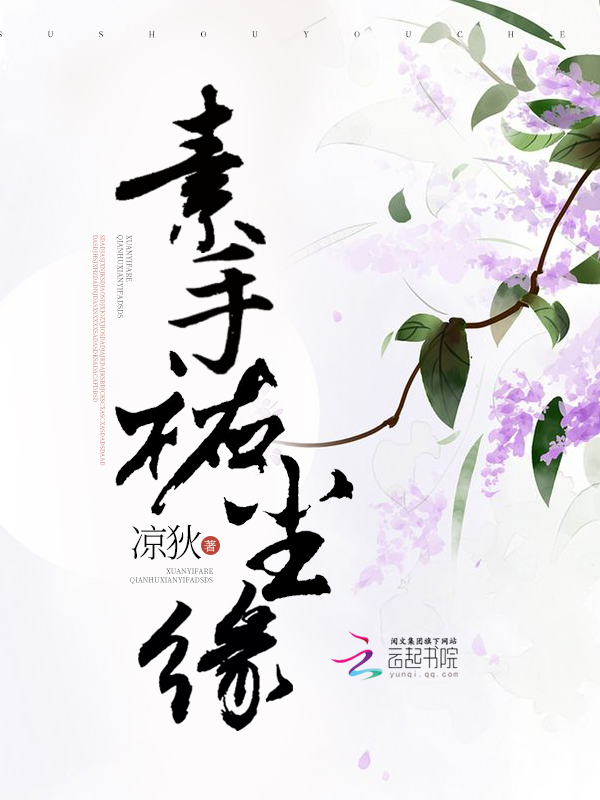 素手佑尘缘