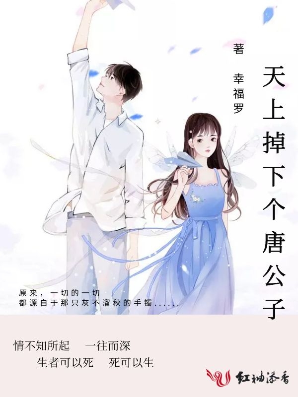 天上掉下个唐公子