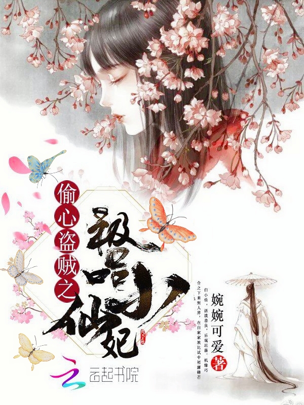 偷心盗贼之极品小仙妃