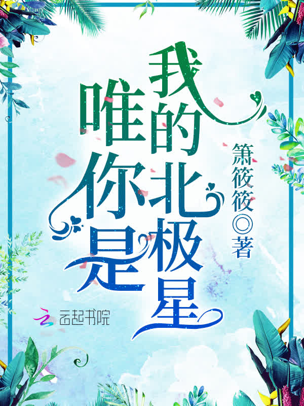 唯你是我的北极星 封面