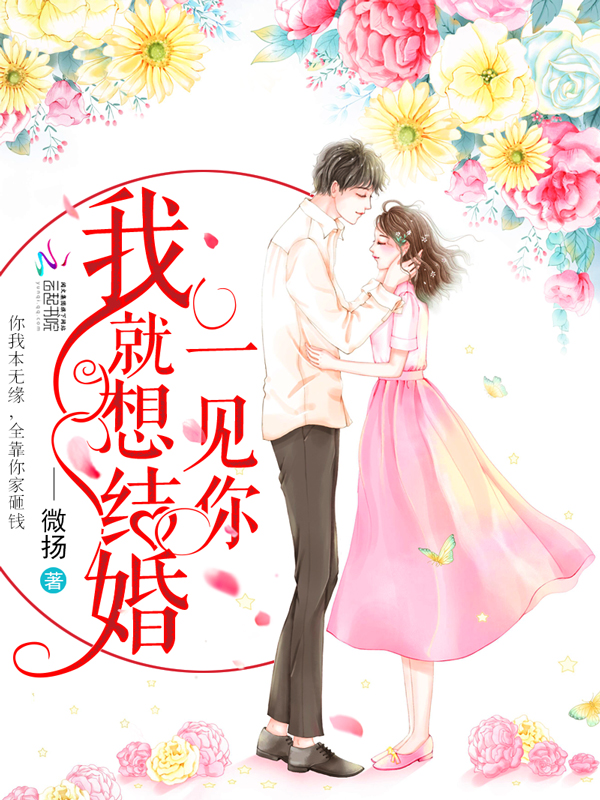 一见你我就想结婚 封面