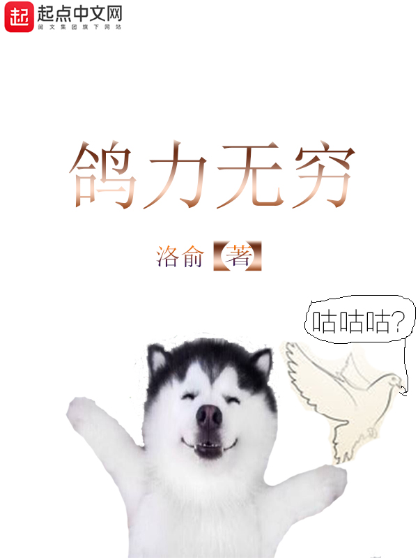 鸽力无穷 封面