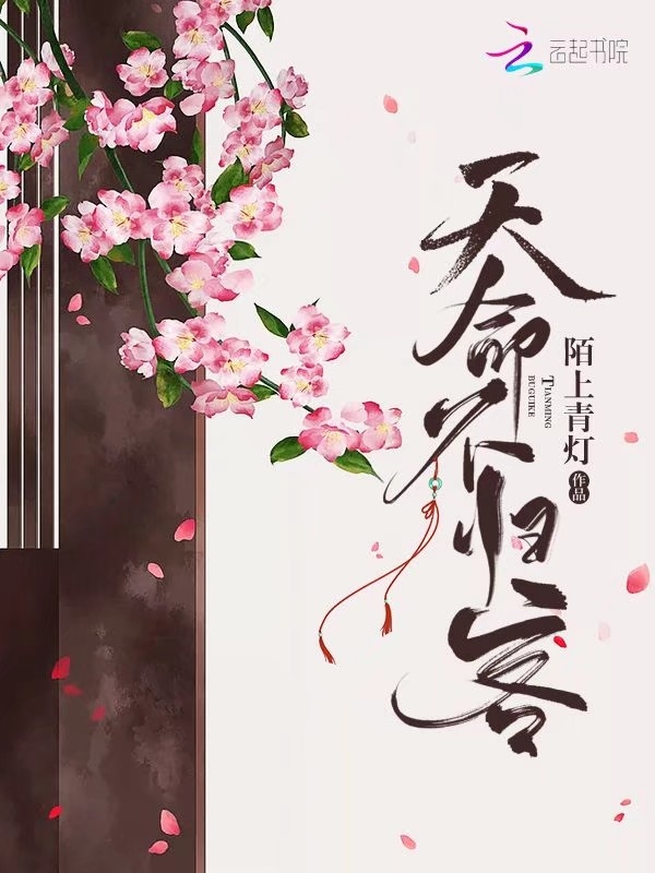 天命不归客 封面
