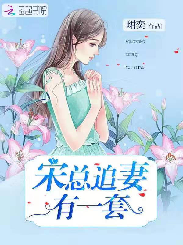 宋总追妻有一套