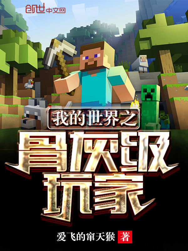 我的世界之骨灰级玩家