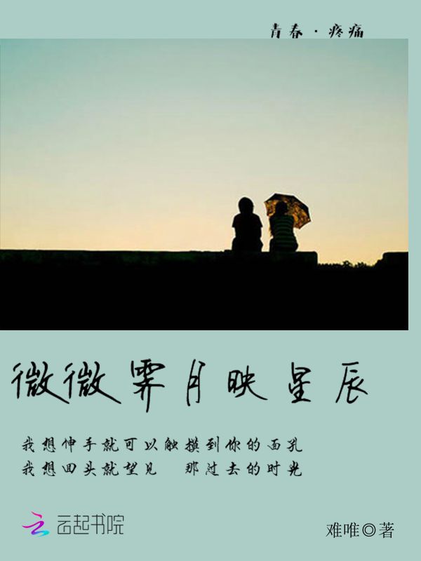 微微霁月映星辰