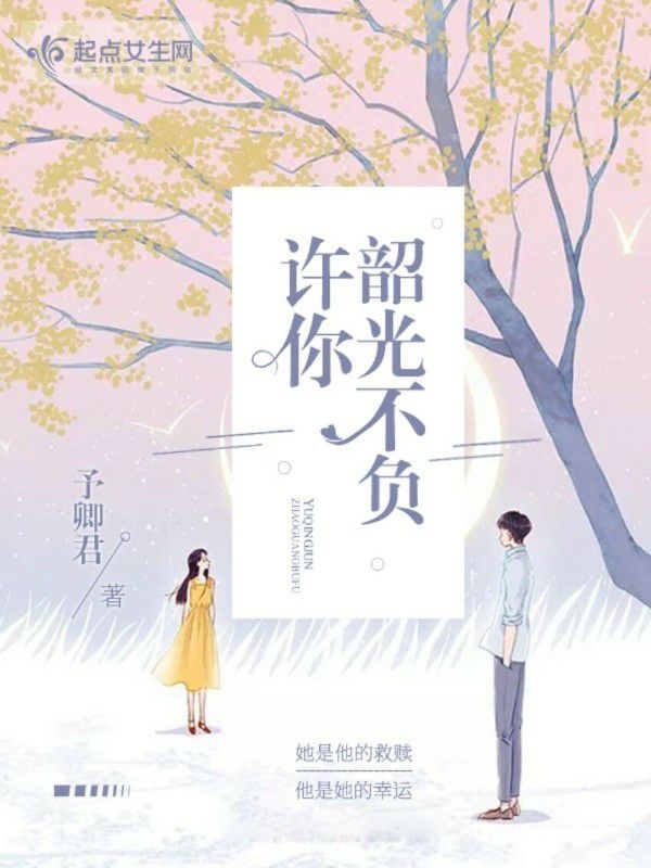 许你韶光不负 封面