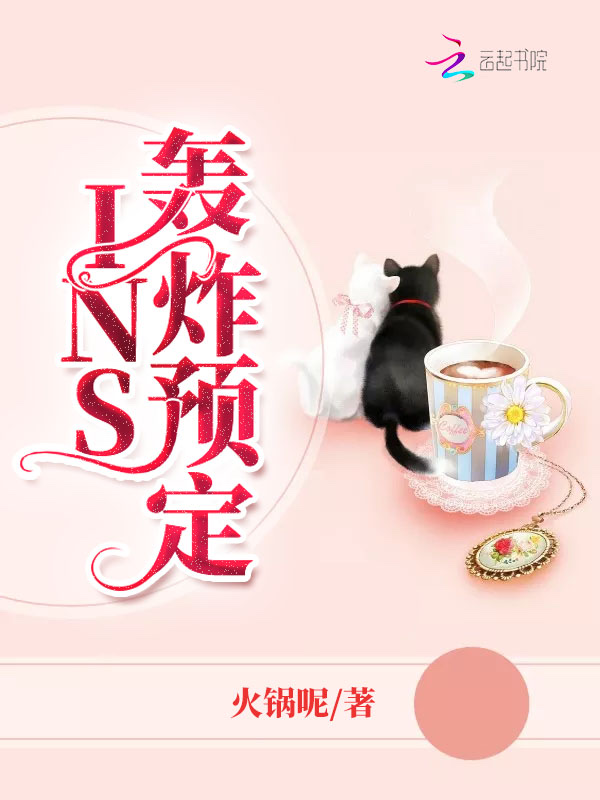 INS轰炸预定