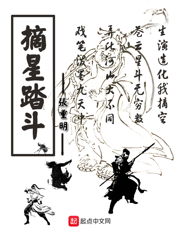 摘星踏斗 封面