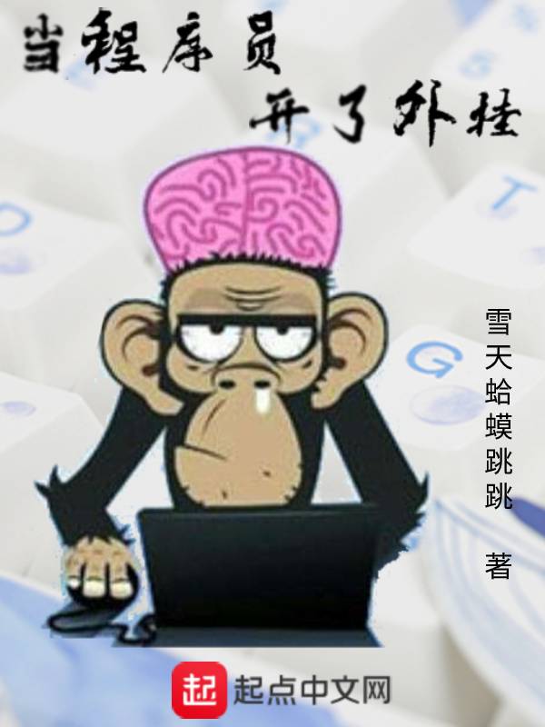 当程序员开了外挂 封面