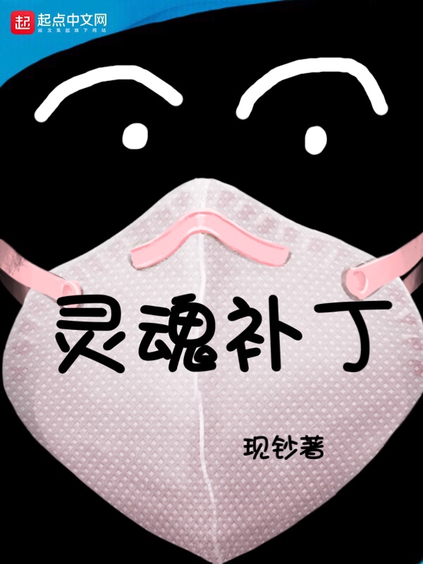 灵魂补丁 封面