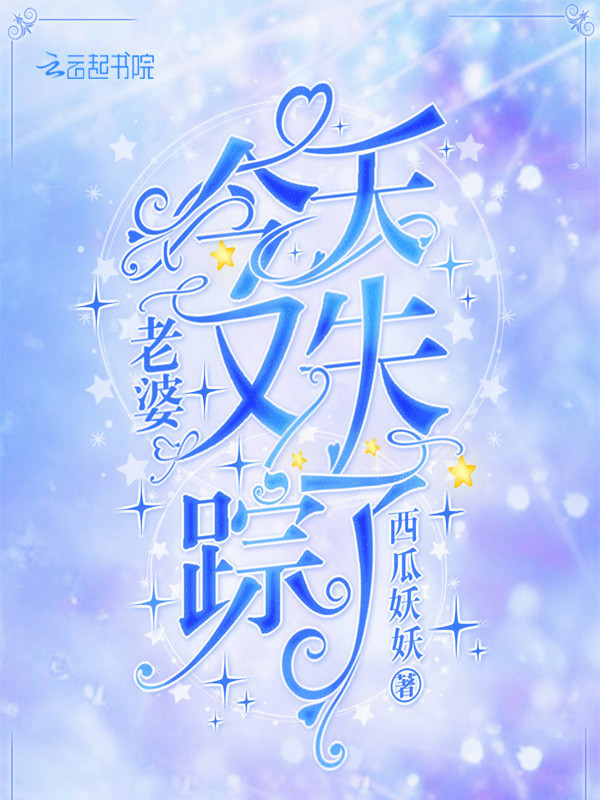 老婆今天又失踪了 封面
