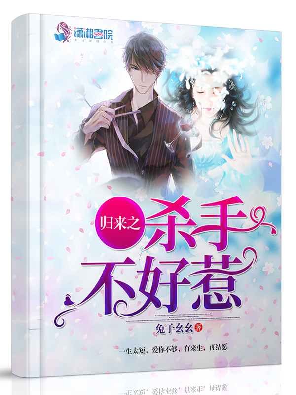 归来之杀手不好惹 封面