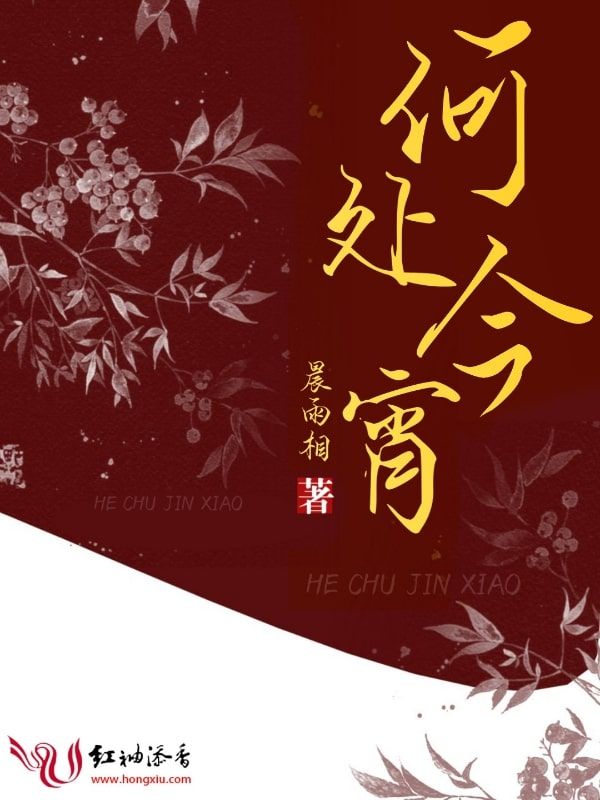 何处今宵 封面