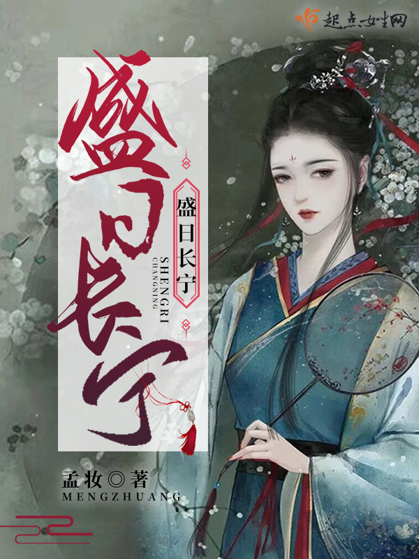 盛日长宁 封面